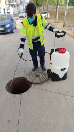Campaña de control de plagas en Huelva capital.