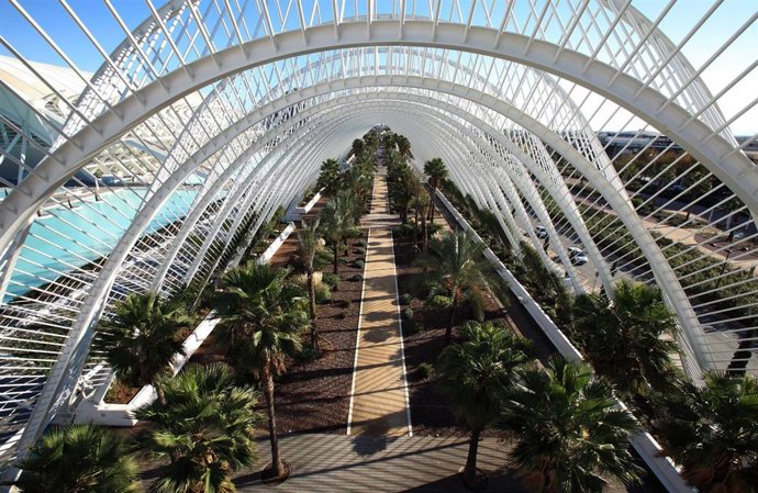 Archivo - Imagen de archivo de l'Umbracle de la Ciudad de las Artes y las Ciencias de València. 