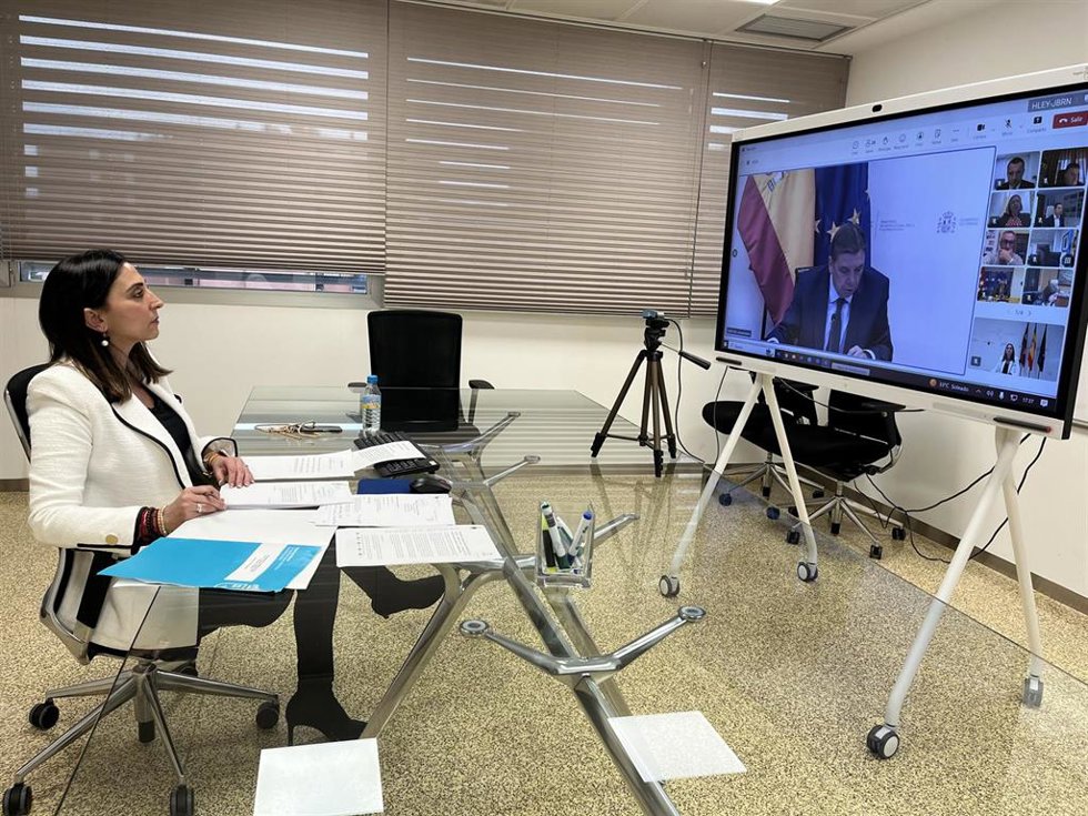 Archivo - La consejera Sara Rubira en una reunión telemática (imagen de archivo)