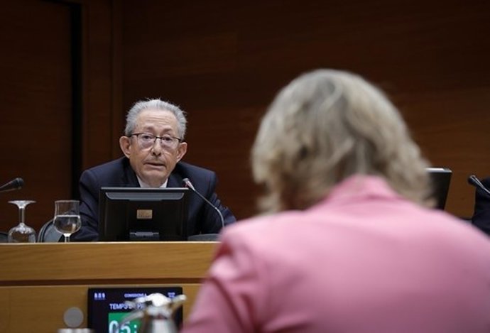 El sindic de Greuges, Ángel Luna, durante su intervención en la comisión de Peticiones de Les Corts
