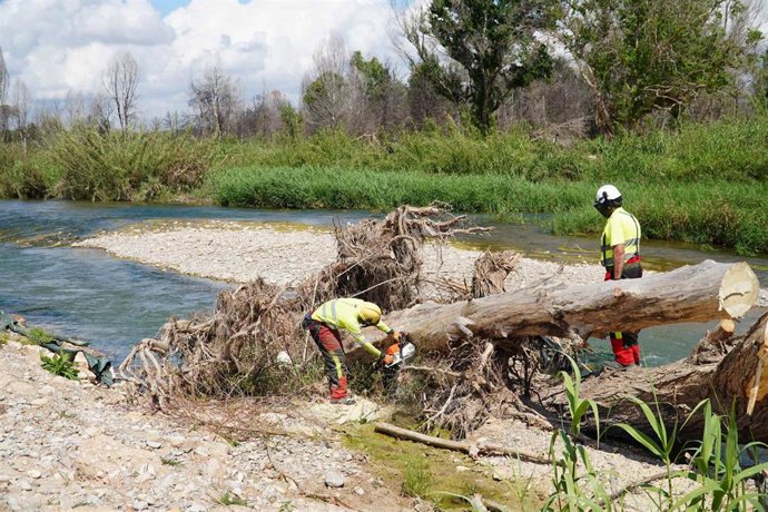 Archivo - Trabajos en el río Turia