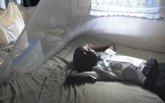 Foto: Medicusmundi denuncia la "negligencia e indiferencia" ante el aumento de casos de malaria en el mundo