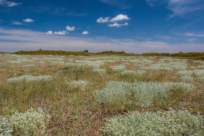 Archivo - La experiencia ofrece una inmersión completa en el pasaje estepario.