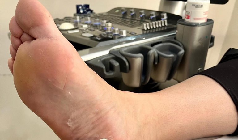 notibrasil sociedade