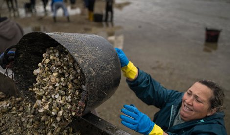 Pesca Galicia