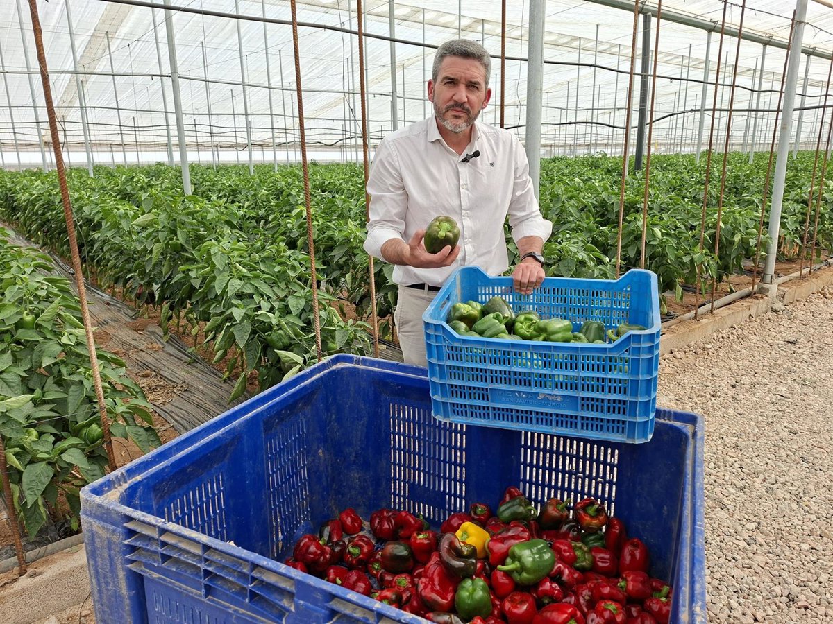 PP demanda al Gobierno central medidas  urgentes  ante el  sobrecoste inasumible  que sufre el campo de la Región
