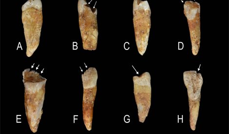 notibrasil sociedade