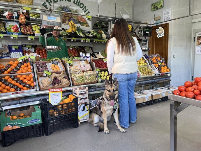 Perro guía en una frutería.