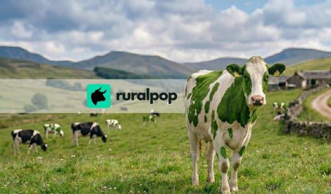 Comunicados Empresas