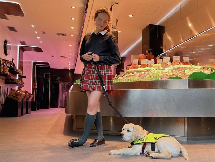 Archivo - Una joven acompañada de un perro guía en una pescadería.