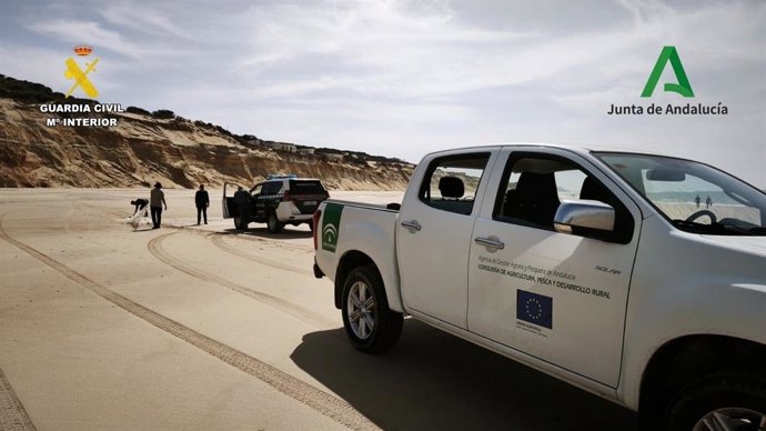 Retirada de trasmallos ilegales en la playa de Matalascañas.