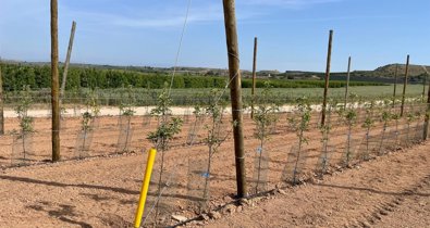 EpAgro - Agricultura