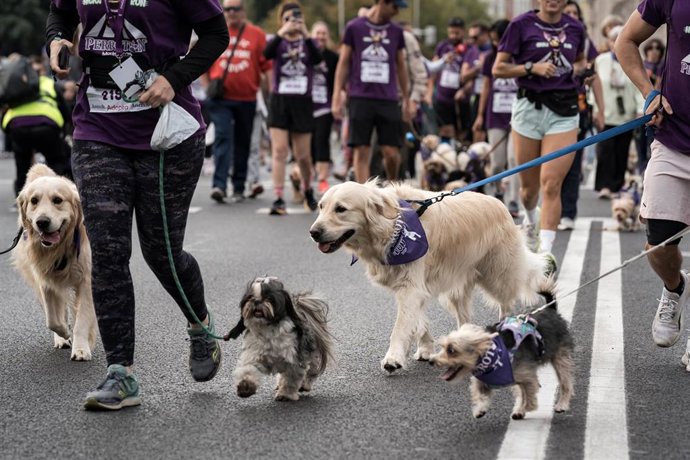 Archivo - Corredores con sus mascotas participan en el Perrotón Madrid 2025, a 19 de octubre de 2025, en Madrid (España). 