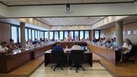 Vox critica la "deslealtad" del PP Calvià por retirar su propuesta de no contribuir al Fondo Mallorquín de Solidaridad