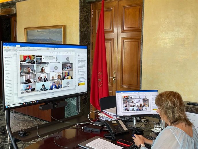 La vicepresidenta Ollo durante la reunión del Consejo Territorial de Memoria