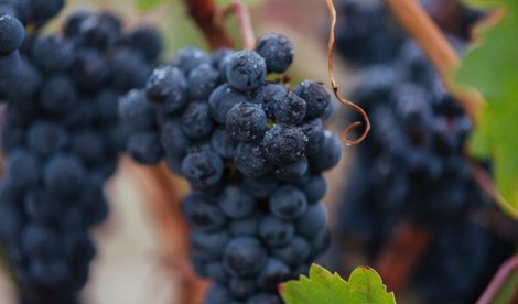 La Rioja
