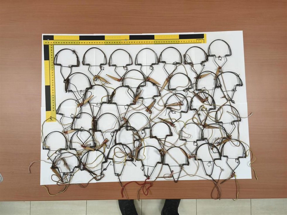 Trampas de ballesta intervenidas por la Guardia Civil, a través de sus unidades del Seprona.