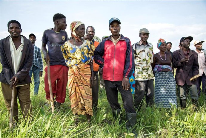 Archivo - Intelcia colabora con Codespa para reforzar el impacto social a través de tecnología y talento