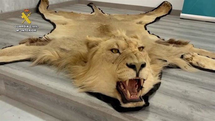 Una de las piezas incautadas de la Guardia Civil.