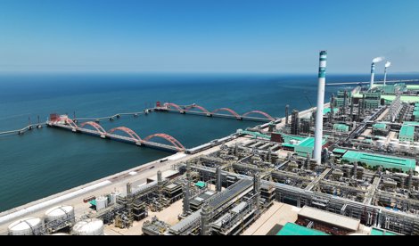 notibrasil sociedade