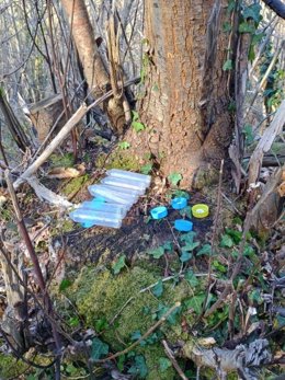 TRampas para la avispilla del castaño en Asturias.