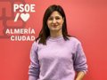 PSOE Almería afea a Moreno su "falta de compromiso" y denuncia promesas "incumplidas" en sanidad, educación y vivienda