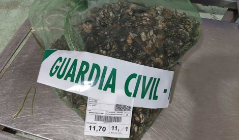 Galicia