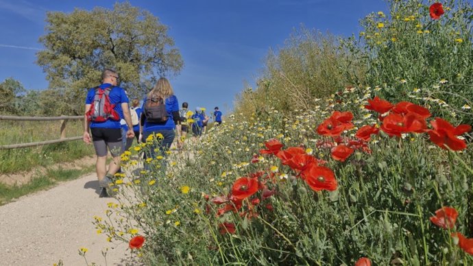 Caminata popular en la Via Blava Anoia organizada por la Diputació de Barcelona