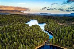 La Casa de la imagen hace una campaña de crowdfunding para ir a documentar los bosques primarios de Alaska