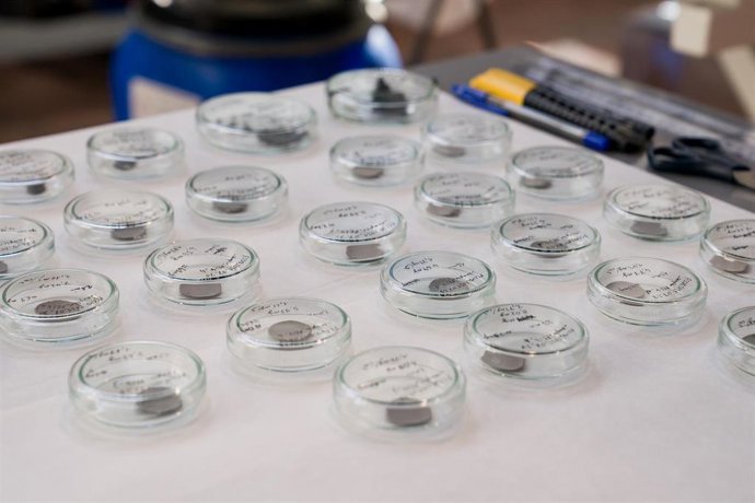 Archivo - Varios elementos colocados en una mesa del Instituto Madrileño de Estudios Avanzados (IMDEA), a 18 de agosto de 2021, en el Parque Tecnológico de Getafe, Getafe, Madrid, (España).