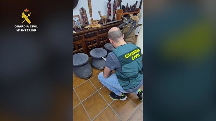 En la inspección de la vivienda se localizaron colmillos de marfil, taburetes fabricados con patas de elefante africano, así como ejemplares completos y cabezas de diversas especies como puma, leopardo, antílope negro, oso negro, cebra, hienas y simios.