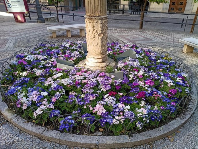 Campaña de plantación de primavera-verano de la ciudad de Jaén.