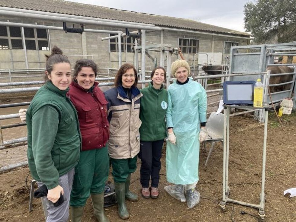 Equipo de investigadores del proyecto FETALNUT.