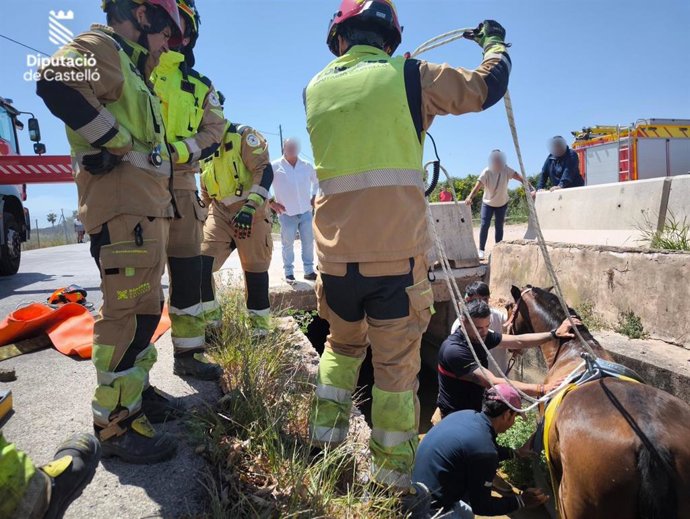 Bomberos rescatan a un caballo que había caído a una acequia en Burriana (Castellón)