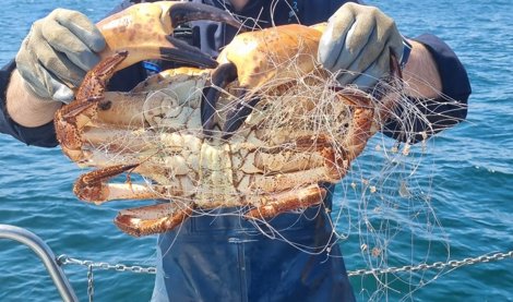 Pesca Galicia