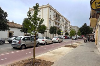 Nuevos árboles en la calle Porvenir de Jerez de la Frontera (Cádiz).