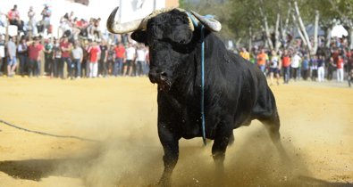 Andalucía