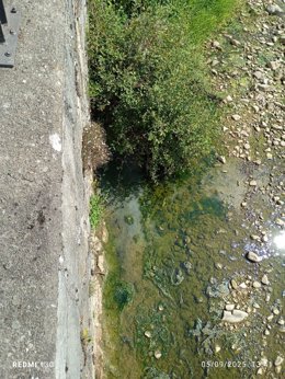 Vertido al Río Güeña, en Cangas de Onís.