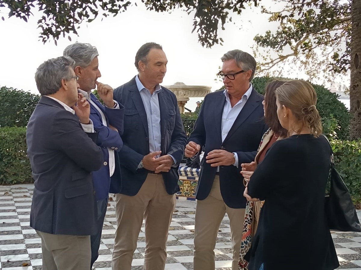 Gavira (Vox): Más de 500 médicos tienen que  abandonar  Andalucía cada año mientras se  importan  pacientes