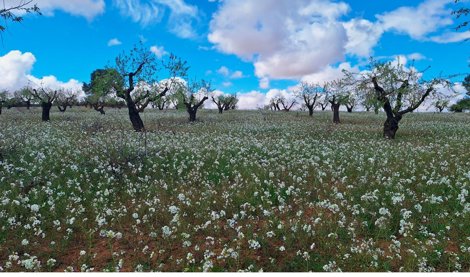 Comunicados Empresas