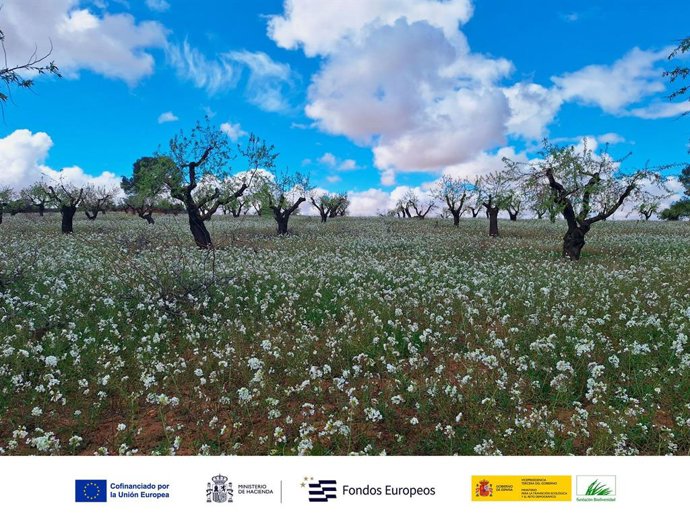 Imagen del proyecto y logos de sus financiadores