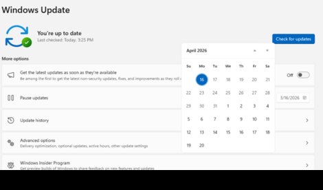notibrasil sociedade