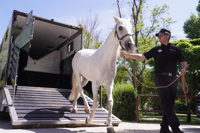 La Policía Municipal compra 25 nuevos vehículos para modernizar la flota con una inyección de 2,8 millones