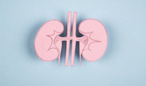 notibrasil sociedade