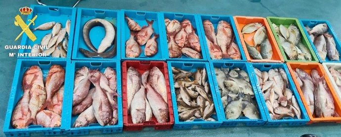 Pescado incautado por la Guardia Civil en La Graciosa