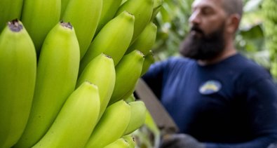 EpAgro - Agricultura