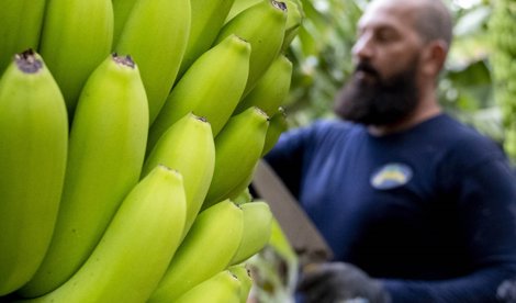 EpAgro - Agricultura