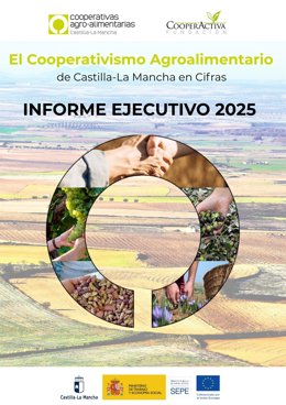 Informe ejecutivo de Cooperativas.