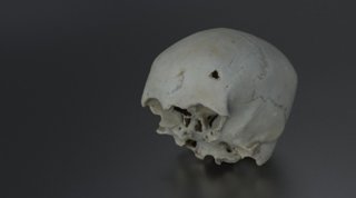 Cráneo humano hallado en el pecio 'Delta II', hundido en aguas de Cádiz en el siglo XVI