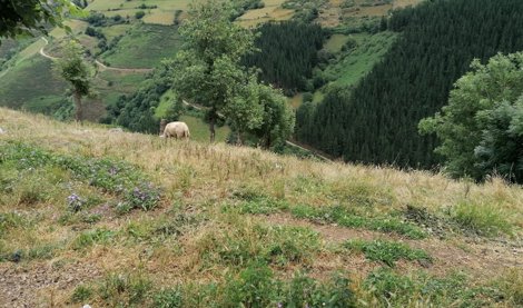 Asturias Rural